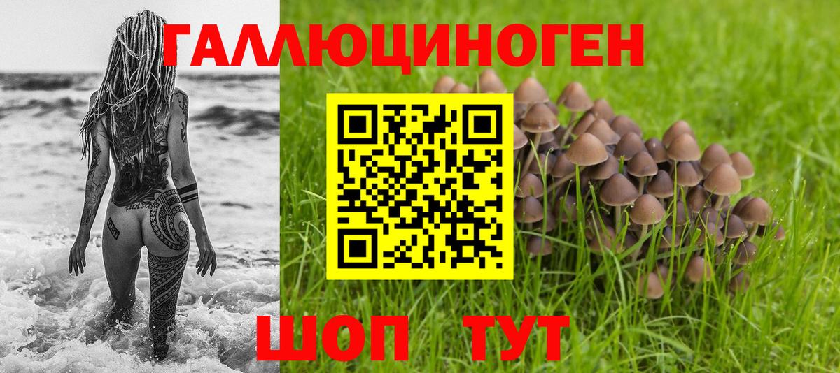 Павловский Посад  цена наркотик  Вход с VPN  Галлюциногенные грибы Psilocybe 
